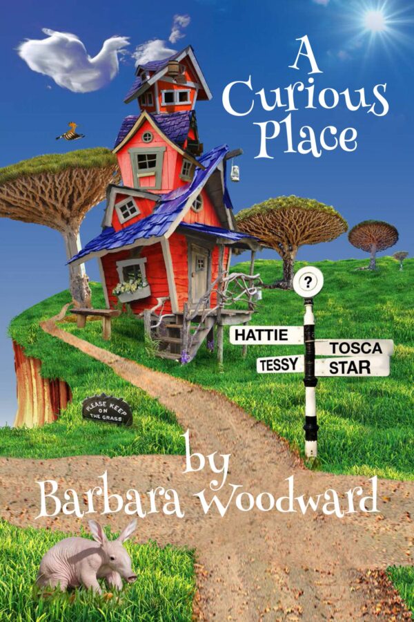 A Curious Place by Barbara Woodwoard